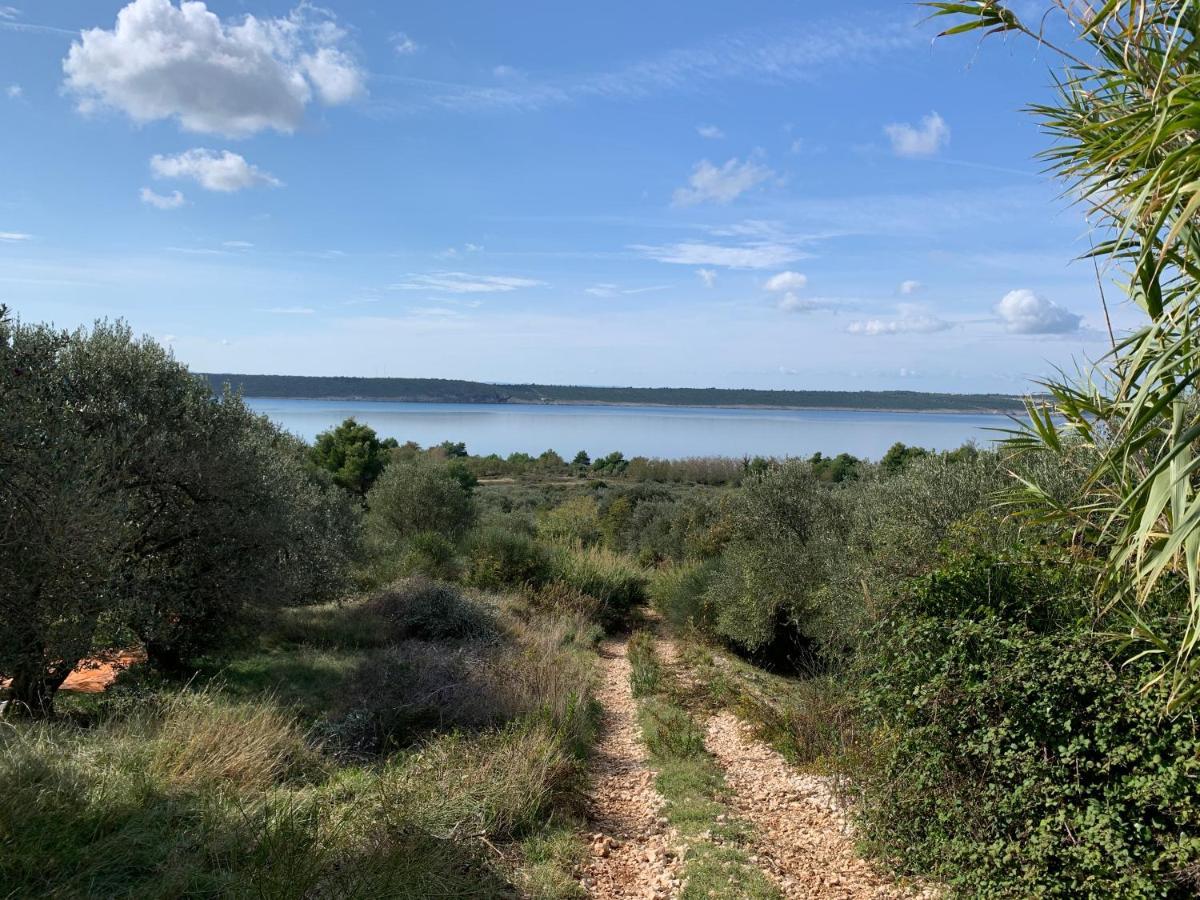 LjubačApp 4 - 6 Persons Direct On The Seaside, 1St Floor公寓 外观 照片